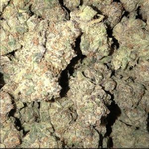 Meet your Posher, Jorge